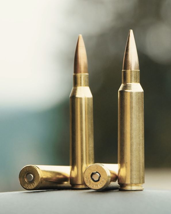 Difference 375SwissP and 338 Lapua Mag
