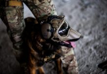 K9-System mit Helm, Schutzbrille und Kommunikationsanbindung von Dark Systems, vertrieben über IEA Mil-Optics.