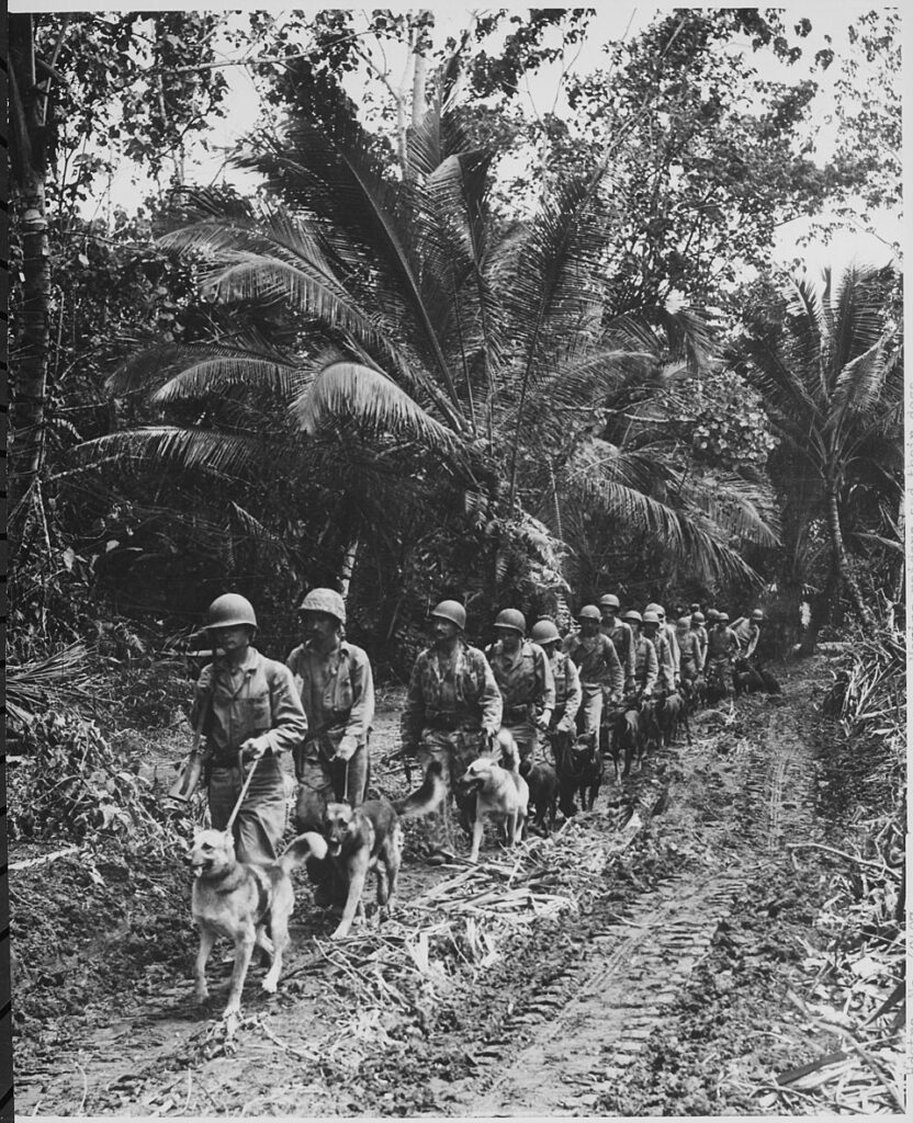 Gerüchte um MARSOC-Auflösung: der Elite-Begriff des USMC 8 Schon damals mit Hund: Mitglieder der Original-Raiders 1943 auf der Insel Bougainville.