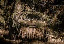 Der Funk-Störpanzer Hummel wartet, gut getarnt und unter Eigenschutz, auf seinen Störeinsatz.