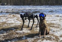 Lucas, der spanische K-9-Hund, ist für die Spezialeinheiten von unschätzbarem Wert. In der Übung wurde er bei den Aufklärungsarbeiten ergänzt durch einen mechanisierten Kameraden (Roboterhund) Ghost Vision 60 vom US-amerikanischen Herstellers Ghost Robotics.