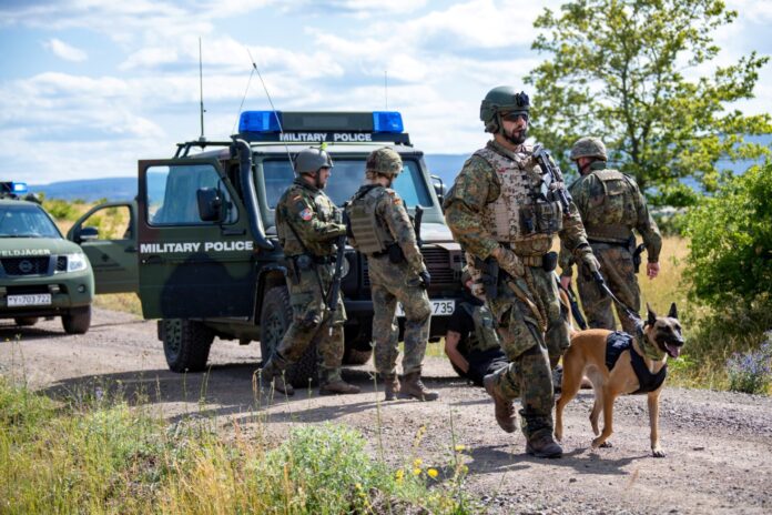 Feldjäger setzen während der Großübung Orange Road 2023 vor drei Jahren in Ohrdruf einen Spürhund ein.